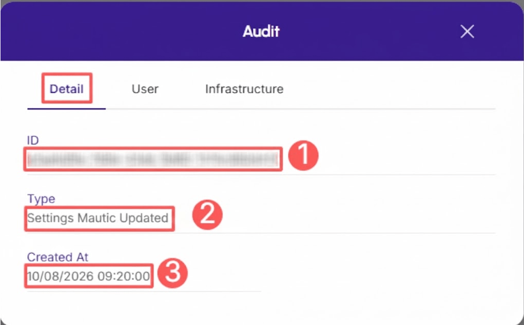 mautic-audit-detail.png