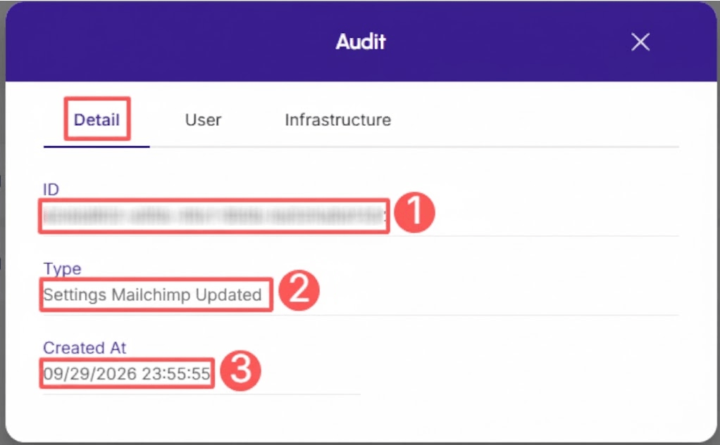 mailchimp-audit-detail.png