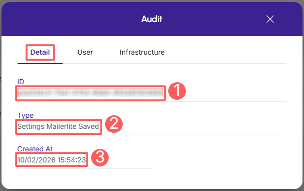mailerlite-audit-detail.png