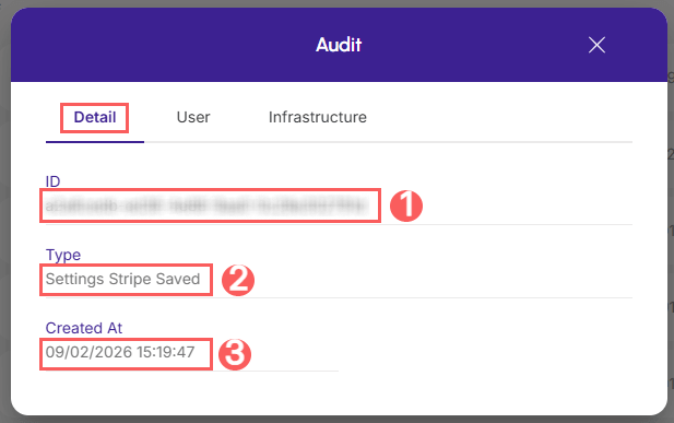 audit-detail-stripe.png