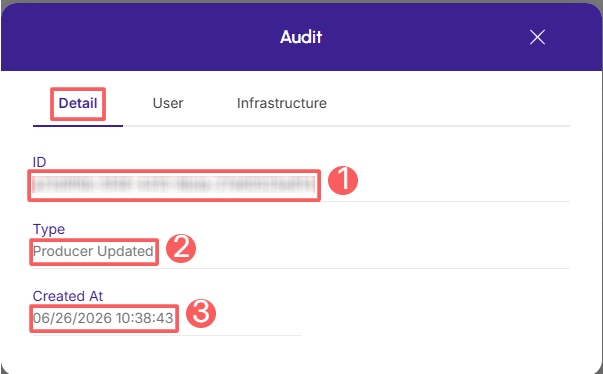 producers-audit-detail.png