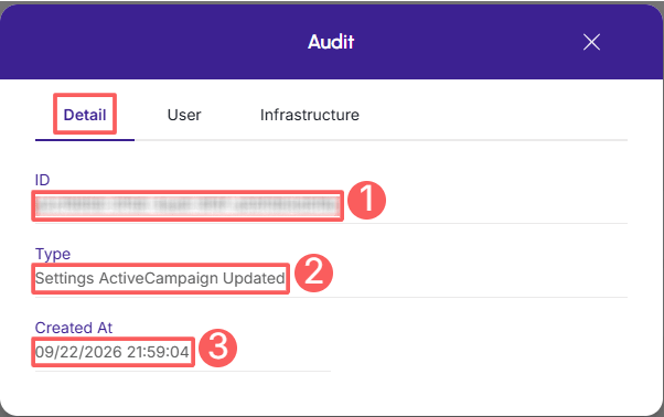 active-campaign-audit-detail.png