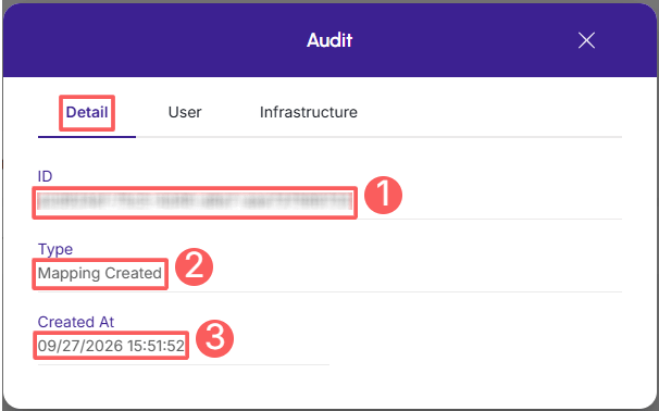 mapping-audit-detail.png