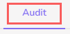 audit-tab.png