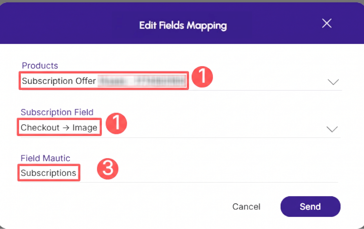 mautic-fields-mapping-edit.png
