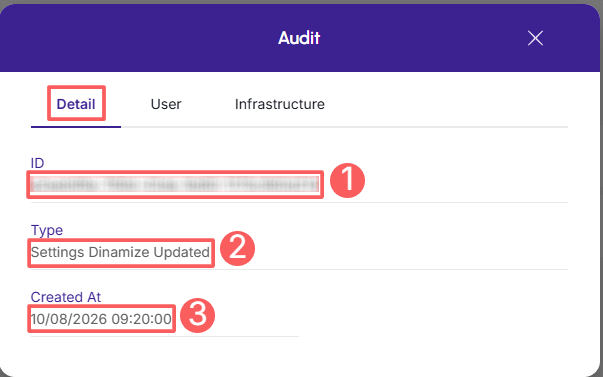 dinamize-audit-detail.png