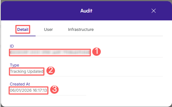 tracking-audit-detail.png