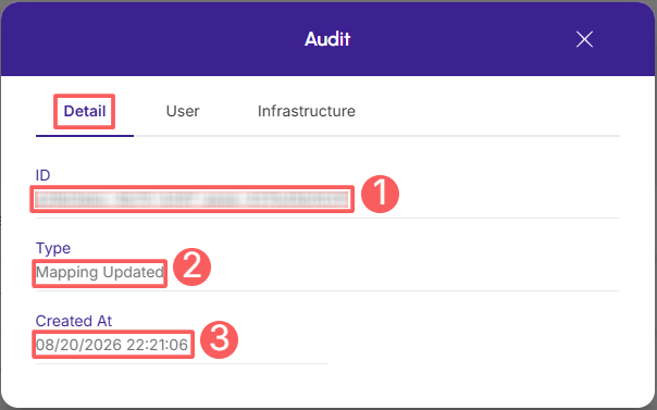 d4sign-mapping-audit-detail.png