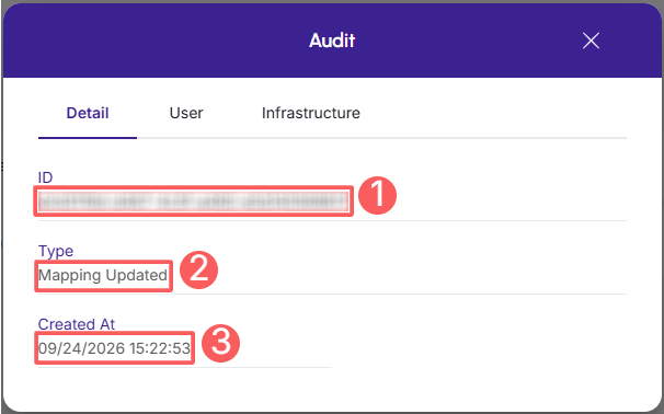 integrations-mapping-audit-detail.png