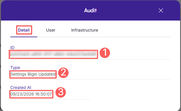 bigin-audit-detail.png