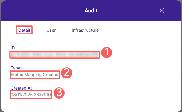 status-mapping-audit-detail.png