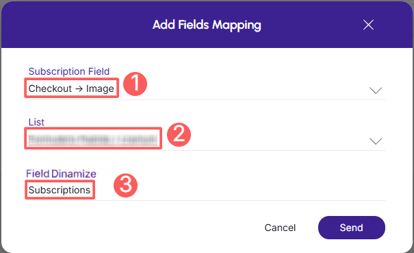 dinamize-field-mapping-add.png