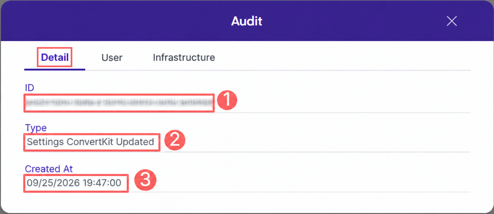 convertkit-audit-detail.png
