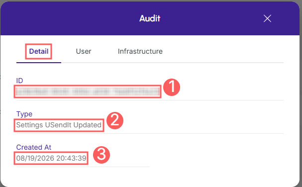 usendit-audit-detail.png