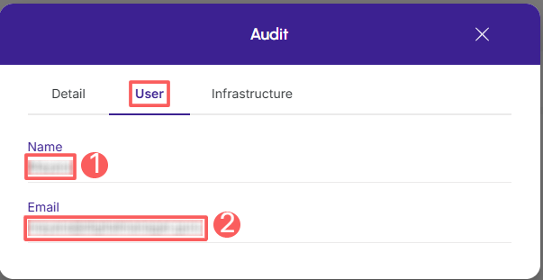 smsdev-audit-user.png