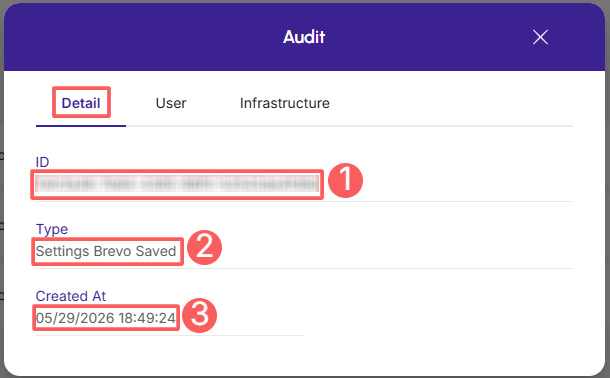 brevo-audit-detail.png