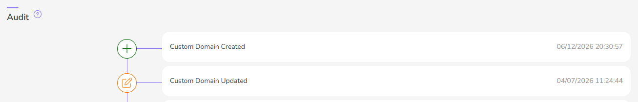 custom-domain-audit.png