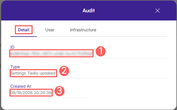 twilio-audit-detail.png