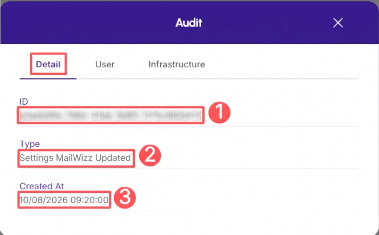 mailwizz-audit-detail.png