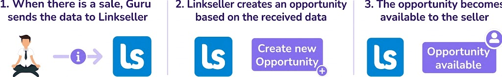linkseller-guru-opportunity.png