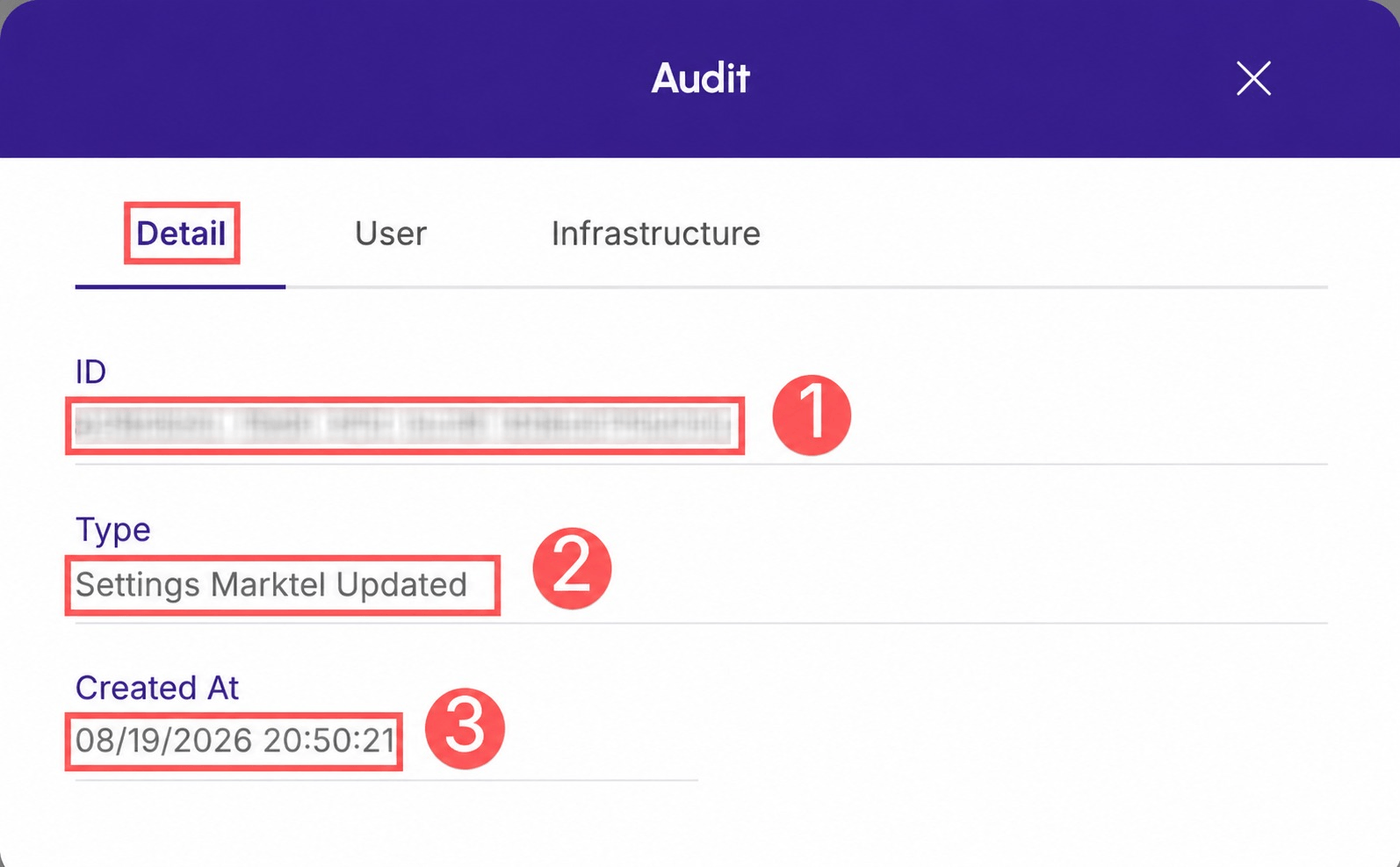 marktel-audit-detail.png