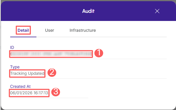 tracking-audit-detail.png