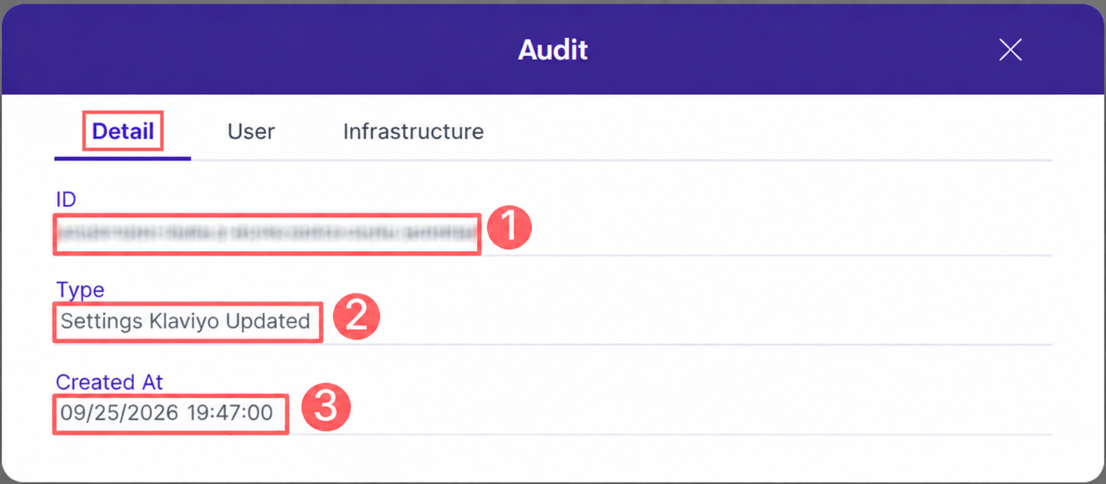 klaviyo-audit-detail.png
