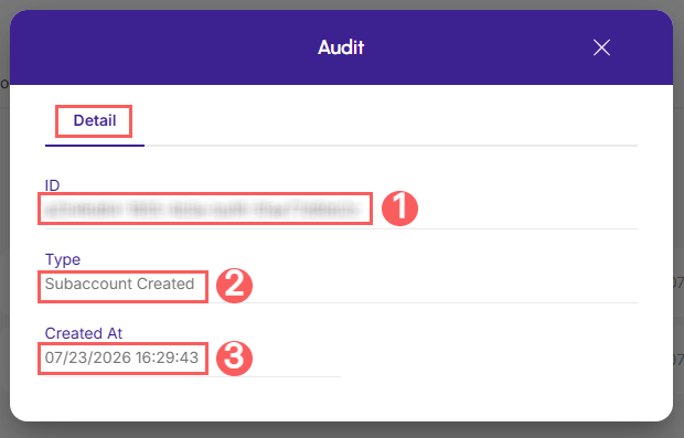 audit-detail-subaccount.png