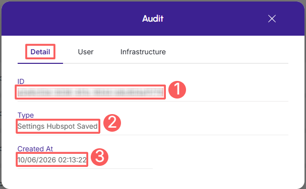 hubspot-audit-detail.png