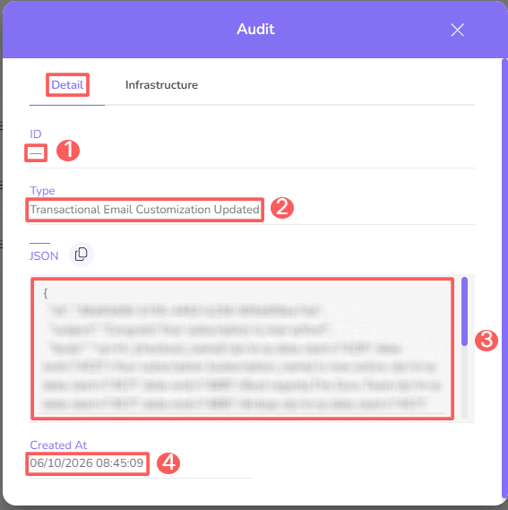 transactional-emails-audit-detail.png