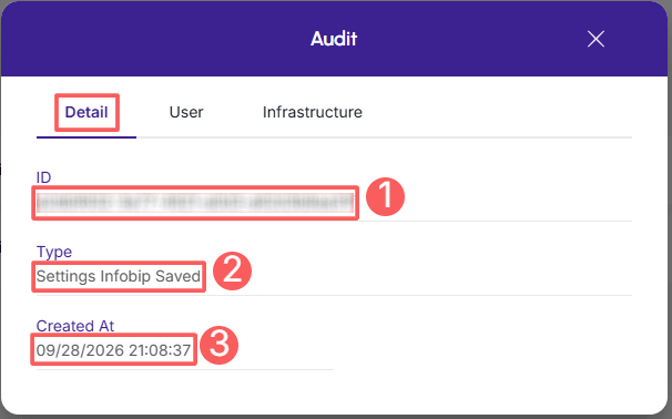 infobip-audit-detail.png