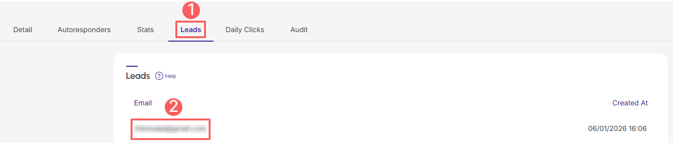 ppct-capture-leads-email.png