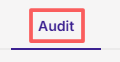 tab-audit.png
