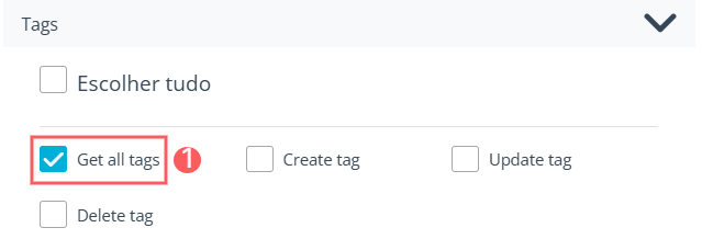 egoi-comandos-tags.png